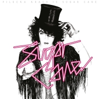 Pilocka Krach - Sugar Cane & The Lost Amigos vinyl cover