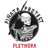Piñata Protest - Plethora Reloaded vinyl cover