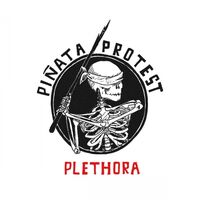 Pinata Protest - Plethora Reloaded vinyl cover