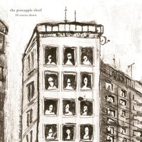 Pineapple Thief - 10 Stories Down (20th Anniversary; Marble) vinyl cover