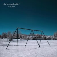 Pineapple Thief - Little Man vinyl cover