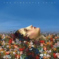 Pineapple Thief - Magnolia vinyl cover