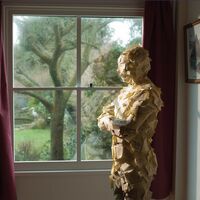 Pineapple Thief - Someone Here Is Missing vinyl cover