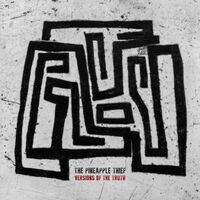 Pineapple Thief - Versions Of The Truth (Mystery colored vinyl) vinyl cover