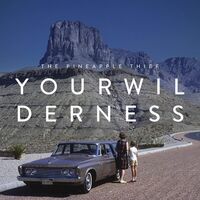 Pineapple Thief - Your Wilderness vinyl cover