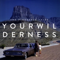 Pineapple Thief - Your Wilderness vinyl cover