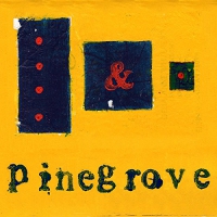 Pinegrove - Everything So Far vinyl cover