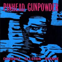 Pinhead Gunpowder - Goodbye Ellston Avenue vinyl cover
