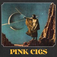 Pink Cigs - Pink Cigs vinyl cover