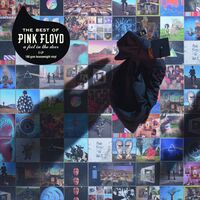 Pink Floyd - A Foot In The Door vinyl cover