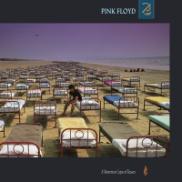 Pink Floyd - A Momentary Lapse Of Reason vinyl cover