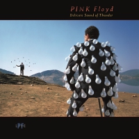 Pink Floyd - Delicate Sound Of Thunder vinyl cover