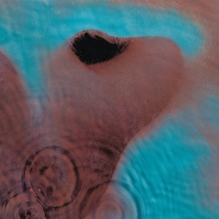 Pink Floyd - Meddle vinyl cover