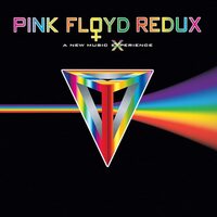 Pink Floyd Redux - A New Music Experience 2 vinyl cover