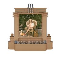Pink Mountaintops - Peacock Pools vinyl cover