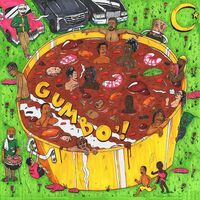 Pink Siifu - Gumbo'! vinyl cover