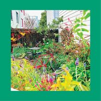 Pinks and Purples The Reds - Unwishing Well (Nasturtium Orange) vinyl cover