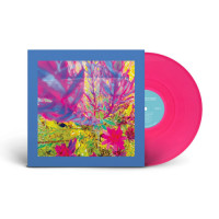Pinks The Reds & Purples - The Past is a Garden I Never Fed (Neon Pink) vinyl cover