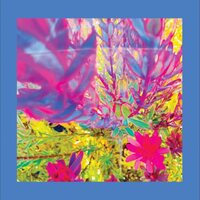 Pinks The Reds & Purples - The Past is a Garden I Never Fed (Sky Blue) vinyl cover
