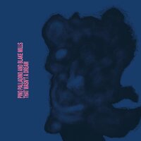 Pino Palladino/Blake Mills - That Wasn't a Dream vinyl cover