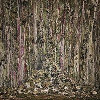 Piss Vortex - Piss Vortex vinyl cover