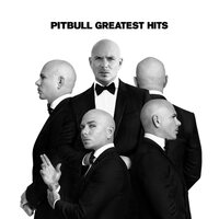 Pitbull - Greatest Hits vinyl cover