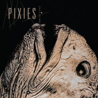 Pixies - COmplete B Sides: 1988-97 vinyl cover