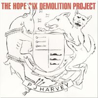 PJ Harvey - The Hope Six Demolition Project vinyl cover