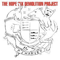 Pj Harvey - The Hope Six Demolition Project vinyl cover