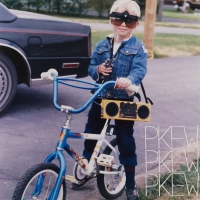 Pkew Pkew Pkew - Pkew Pkew Pkew vinyl cover