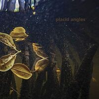 Placid Angles - Touch The Earth vinyl cover