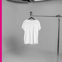 Plain White T's - Plain White T's (White) vinyl cover