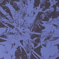 Plants Heal - Forest Dwellers vinyl cover
