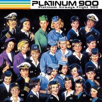 Platinum 900 - Platinum Airways Flight 900