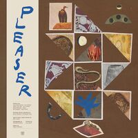 Pleaser - Pleaser vinyl cover