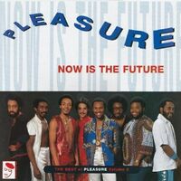 Pleasure - Now Is Future: The Best Of Pleasure vinyl cover