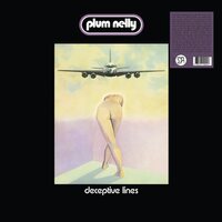 Plum Nelly - Deceptive Lines vinyl cover