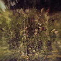 Pluralone - Across The Park B/W Sevens vinyl cover