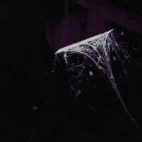 Pluralone - Wile B/W Remembered (Purple) vinyl cover