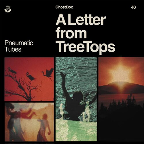 Pneumatic Tubes - A Letter From Treetops vinyl cover