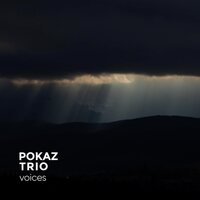 Pokaz Trio - Voices vinyl cover