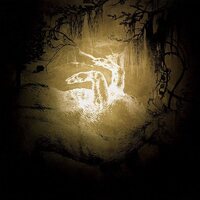 Polar Bear - Held On The Tips Of Fingers vinyl cover