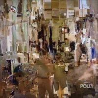 Pole - Fading vinyl cover