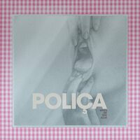 Polica - When We Stay Alive vinyl cover