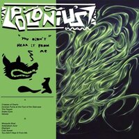 Polonius - You Didn't Hear It From Me vinyl cover