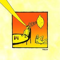 Polycool - Lemon Lord vinyl cover