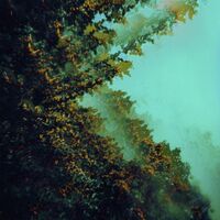Polymoon - Caterpillars Of Creation vinyl cover