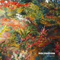 Polynation - Allogamy vinyl cover