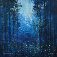Polynation - Bloom vinyl cover