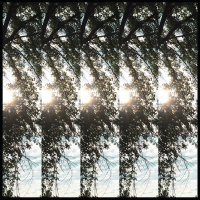 Pontiak - Dialectic Of Ignorance vinyl cover